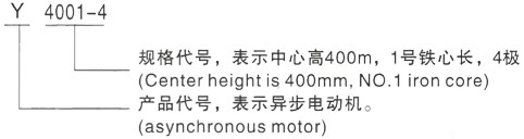 西安泰富西玛Y系列(H355-1000)高压JR127-8三相异步电机型号说明